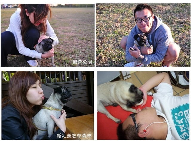 1379033376 2957613675 最幸福的一家人【鳥夫人】