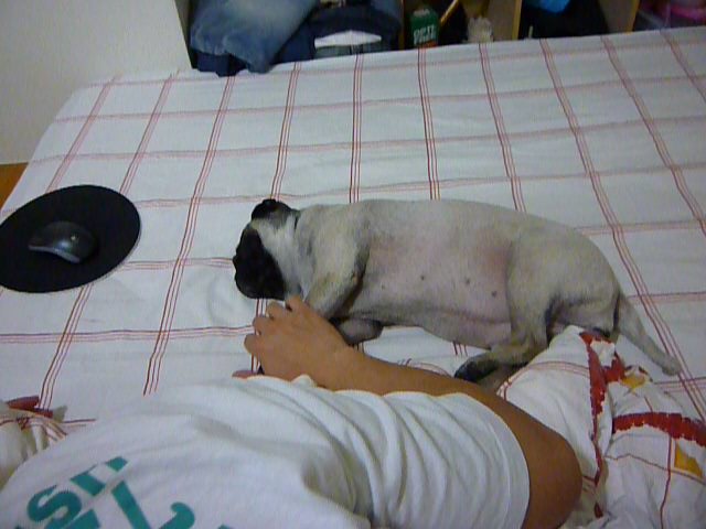 1379033415 2227106086 失心瘋的決定變成為我們的小確幸【鳥夫人】