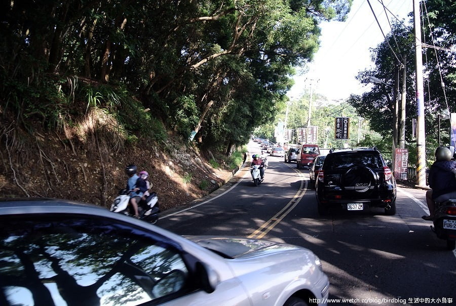 1379032317 2833830869 新社花海-滿地開花【鳥夫人】