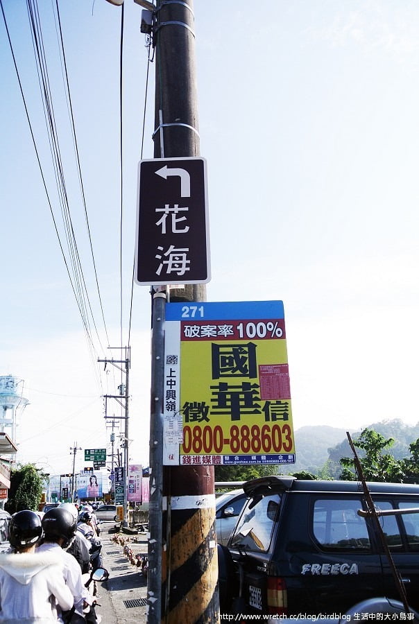 1379032327 2069459050 新社花海-滿地開花【鳥夫人】