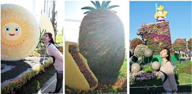 1379032363 820414480 新社花海-滿地開花【鳥夫人】