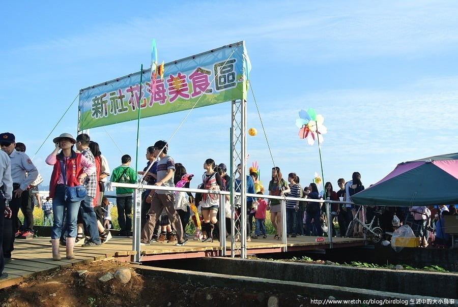1379032400 2883961238 新社花海-滿地開花【鳥夫人】