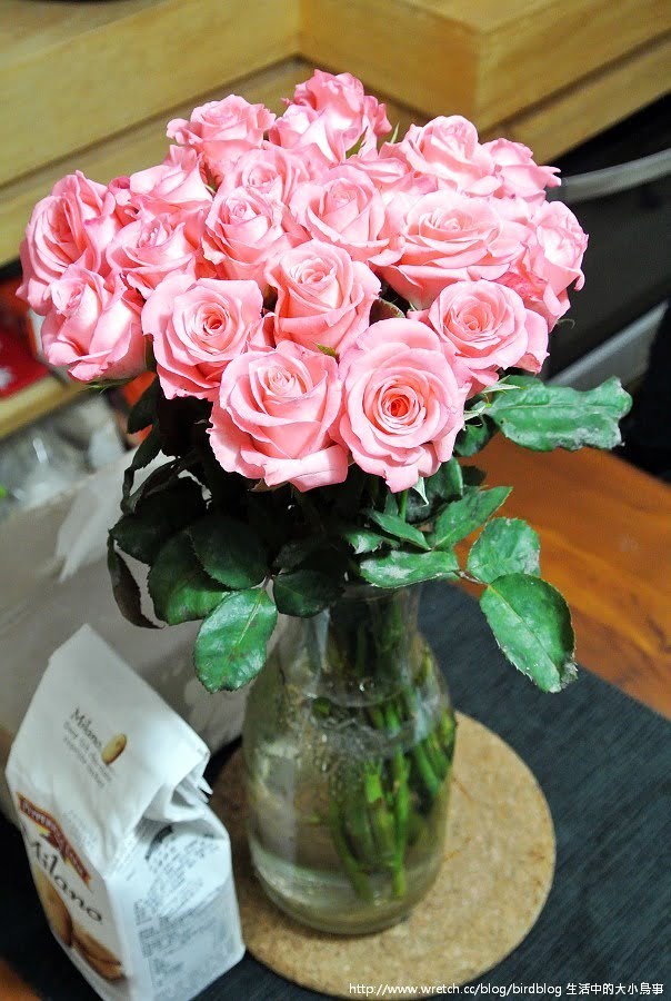 1379032424 3817963697 新社花海-滿地開花【鳥夫人】