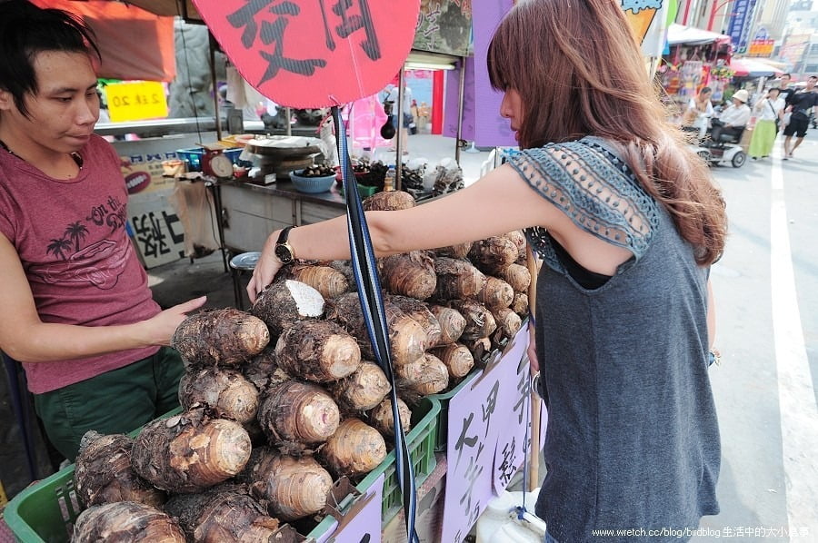 1379032577 4186903314 大甲鎮瀾宮進香去【鳥夫人】