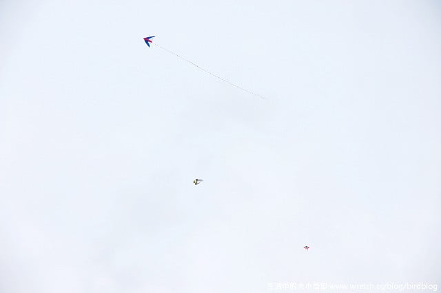 1379030696 2180437781 Go High高雄-Day3【高雄市立美術館。莎士比亞烘培坊】