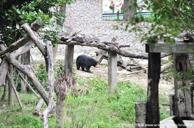 1379030850 454177036 Go High高雄-Day2【帕沙蒂那烘焙坊。壽山動物園】