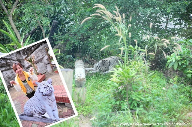 1379030854 2865674113 Go High高雄-Day2【帕沙蒂那烘焙坊。壽山動物園】
