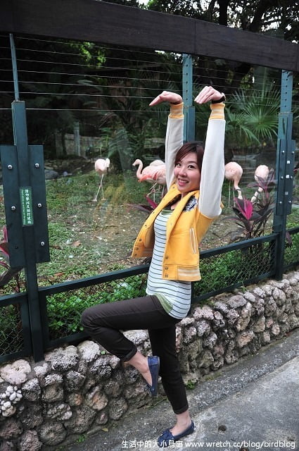 1379030877 3578531734 Go High高雄-Day2【帕沙蒂那烘焙坊。壽山動物園】