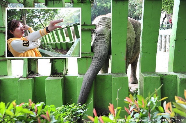 1379030880 1213689572 Go High高雄-Day2【帕沙蒂那烘焙坊。壽山動物園】