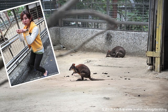 1379030886 3976884947 Go High高雄-Day2【帕沙蒂那烘焙坊。壽山動物園】