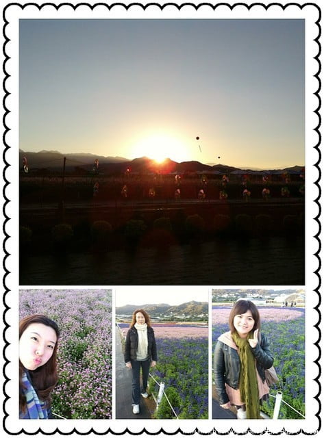 1379031773 227199691 K.布朗 Brunch早午餐【鳥夫人】