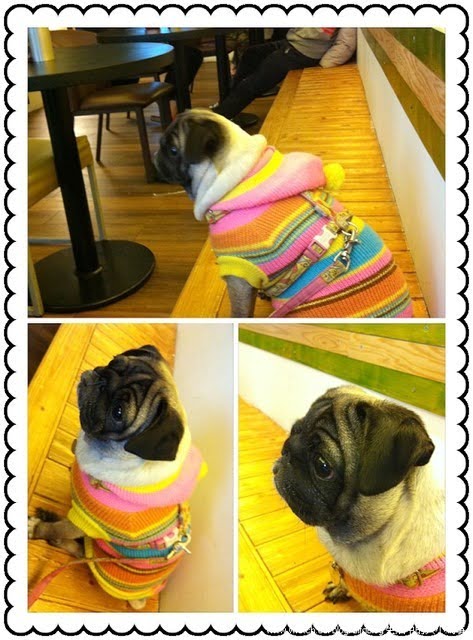 1379031816 4117018703 K.布朗 Brunch早午餐【鳥夫人】