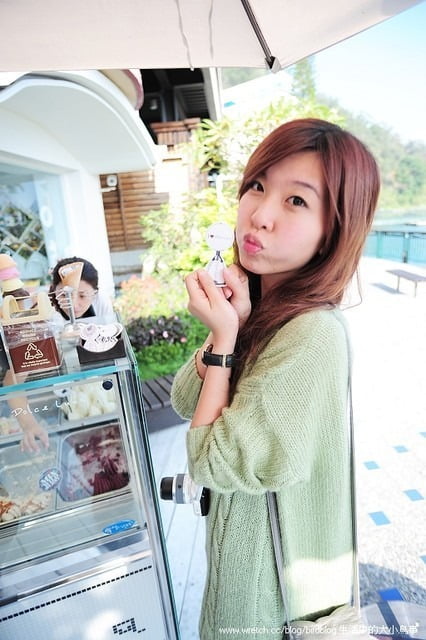 1379031845 2098084991 日月潭好國外【鳥夫人】