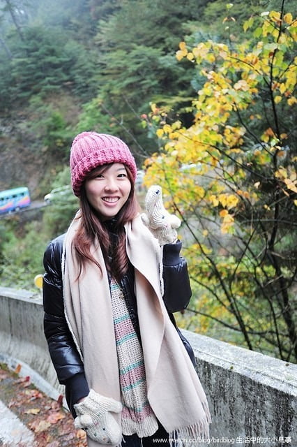 1379031889 1378017646 福壽山。楓紅谷【鳥夫人】