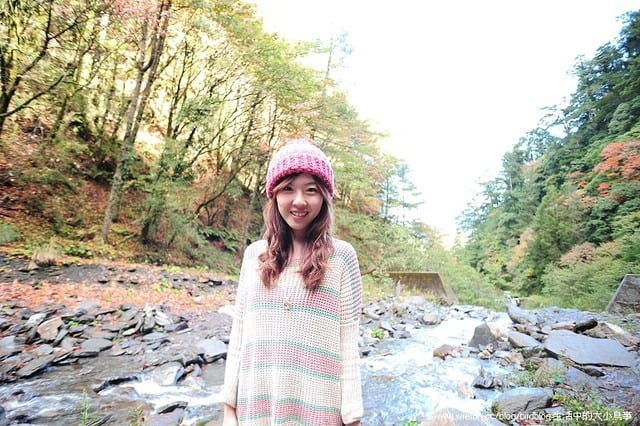 1379031893 1454384583 福壽山。楓紅谷【鳥夫人】