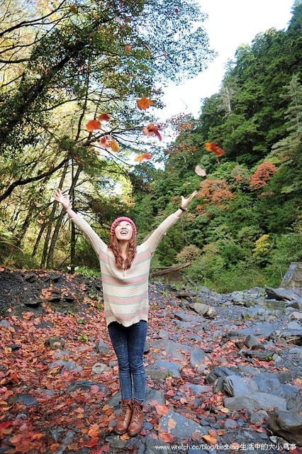 1379031931 2061066368 福壽山。楓紅谷【鳥夫人】