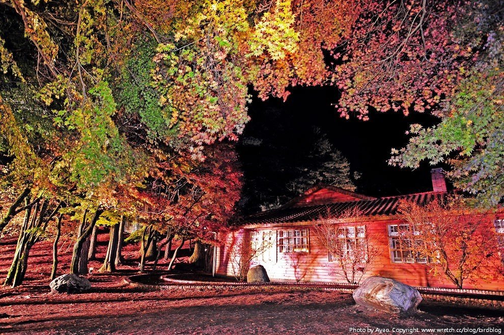 1379031971 942922735 福壽山。楓紅谷【鳥夫人】