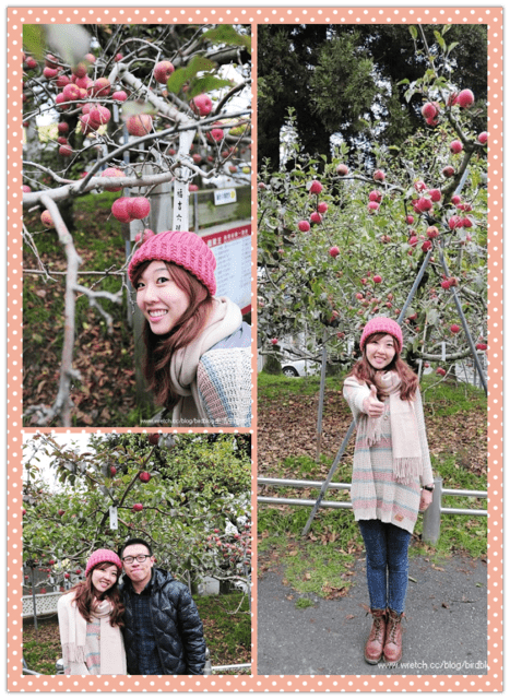 1379031984 2711418947 福壽山。楓紅谷【鳥夫人】