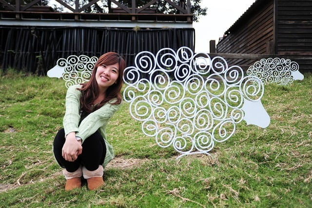 1379032009 808512367 清境好舒服旅行【鳥夫人】