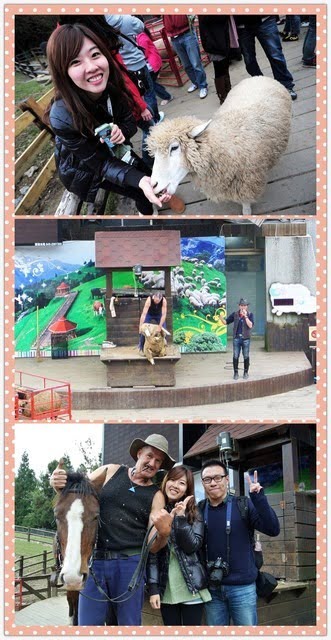 1379032013 894695055 清境好舒服旅行【鳥夫人】