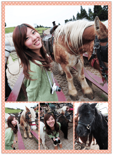 1379032033 3328847402 清境好舒服旅行【鳥夫人】