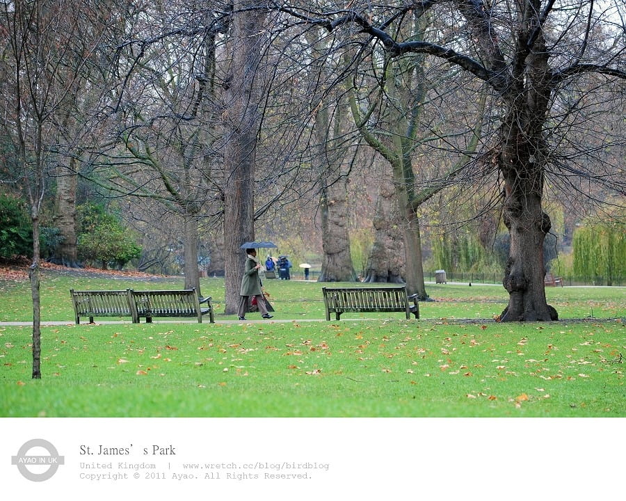 1379029643 3505338570 倫敦必去景點-倫敦之眼、大笨鐘...