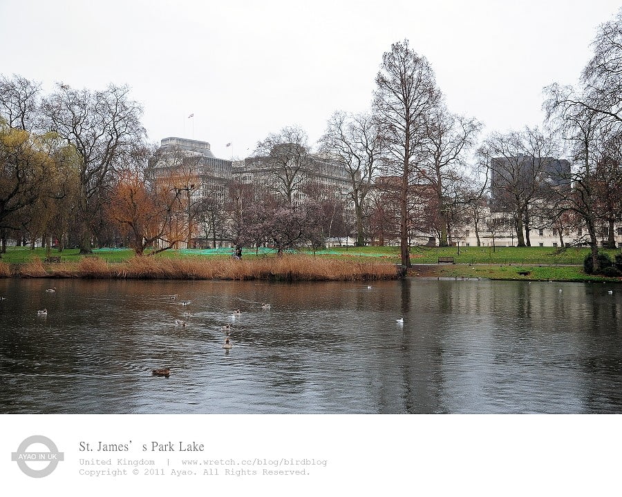 1379029650 2248969779 倫敦必去景點-倫敦之眼、大笨鐘...