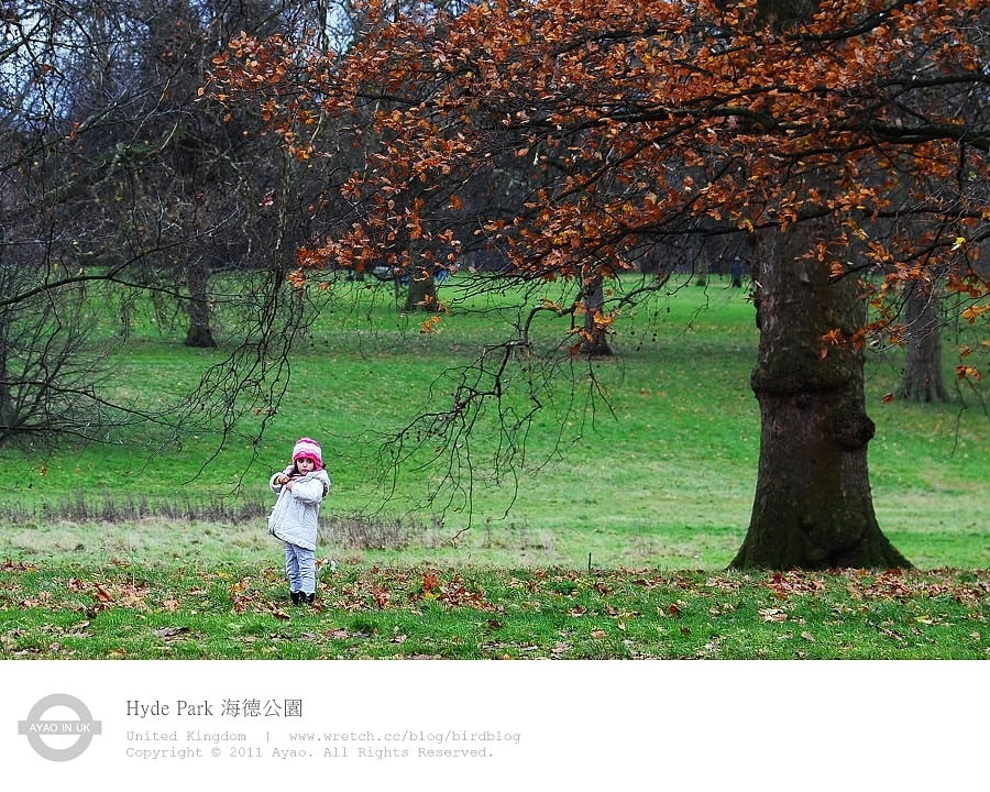 1379028107 867821092 在英國過聖誕節-海德公園