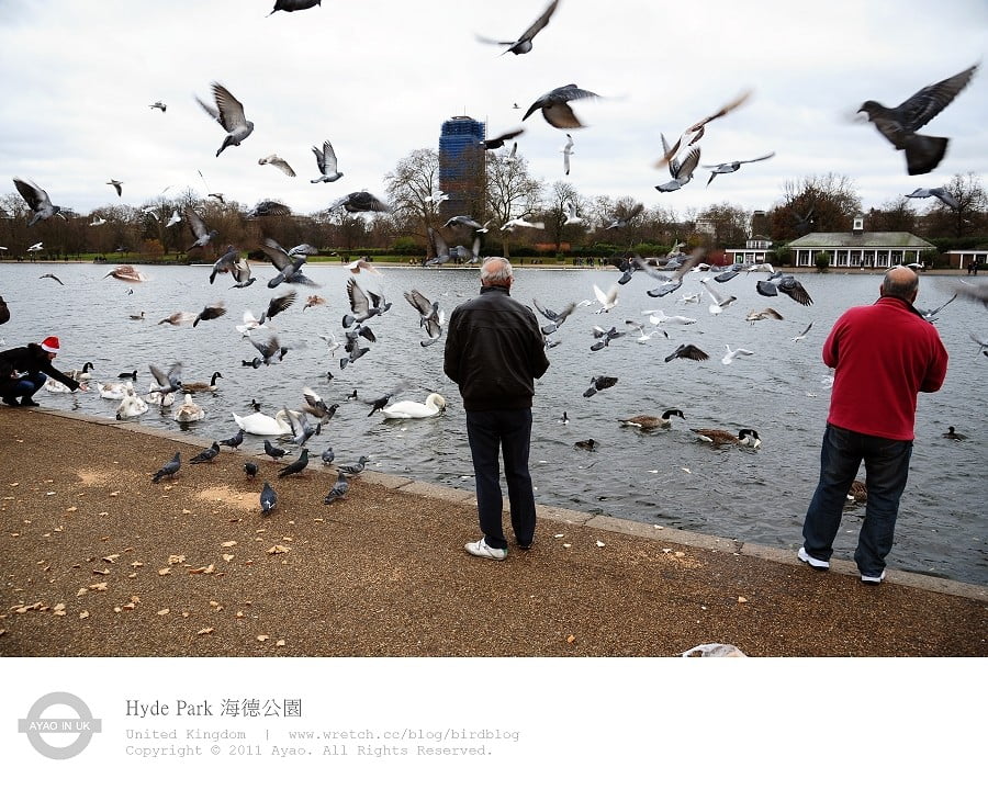 1379028165 1773185505 在英國過聖誕節-海德公園