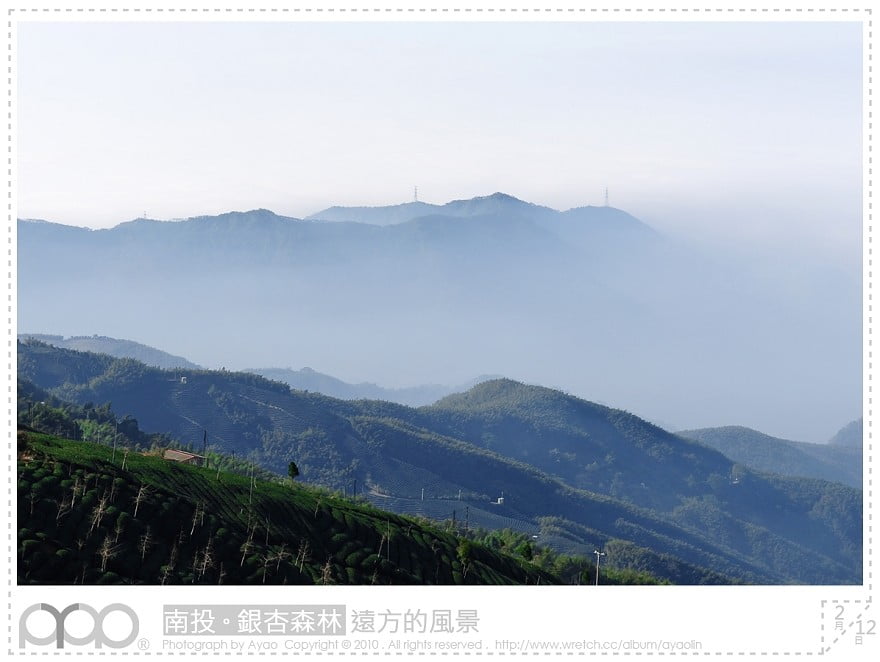 1379028468 3899673798 秘境之旅-九份二山、鹿谷茶園、銀杏森林【鳥夫人】