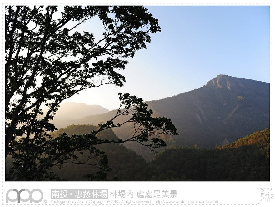 1379028730 3012693002 惠蓀林場賞櫻花喝咖啡去~【鳥夫人】