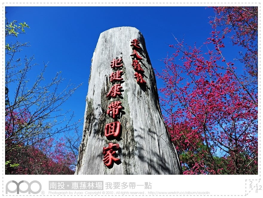 1379028746 3901554578 惠蓀林場賞櫻花喝咖啡去~【鳥夫人】