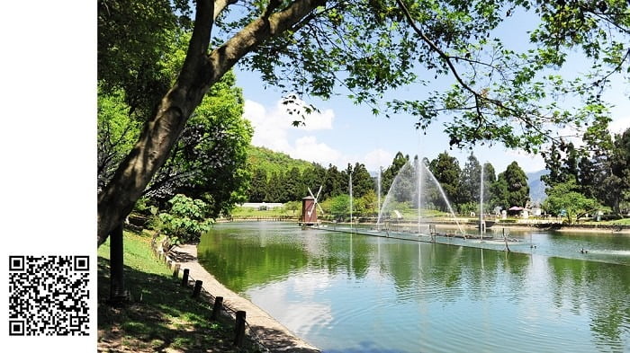 1379027380 3296617780 清境小瑞士+台一農場工作去【鳥夫人】