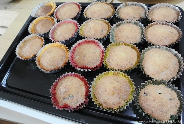 1379027754 4135402309 做點心過生活-蔓越莓杯子蛋糕【鳥夫人】