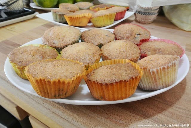 1379027758 299913151 做點心過生活-蔓越莓杯子蛋糕【鳥夫人】