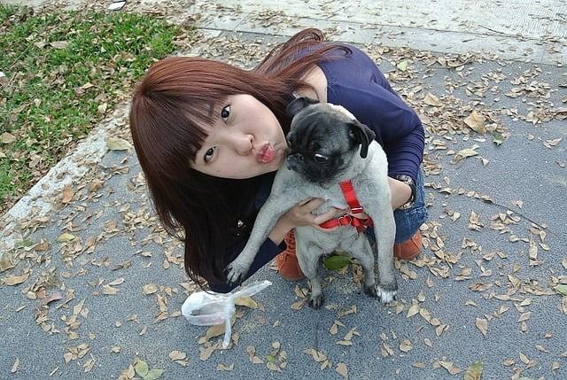 1379027831 1452185367 哈囉!!!小花又出現囉~【鳥夫人】