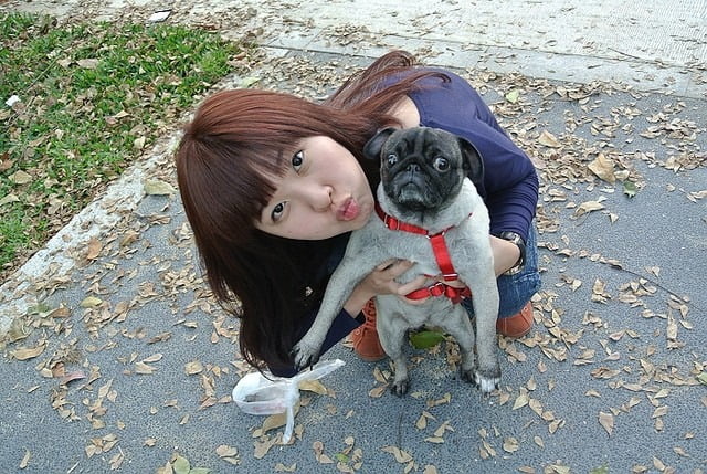 1379027837 926580104 哈囉!!!小花又出現囉~【鳥夫人】