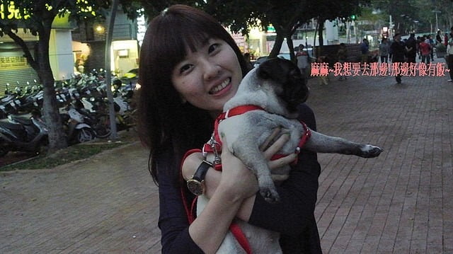 1379027841 2586307210 哈囉!!!小花又出現囉~【鳥夫人】