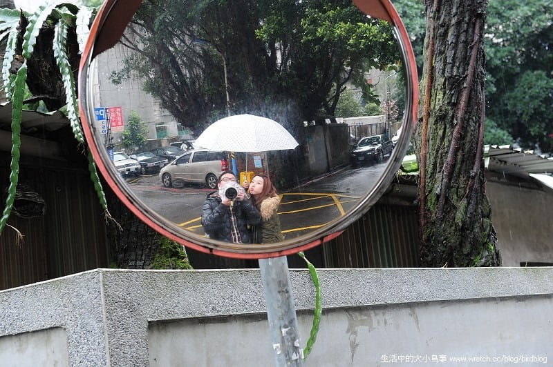 1379027862 1901912307 北投泡溫泉+散散步【鳥夫人】