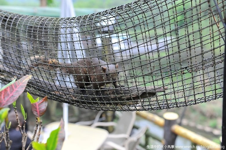 1379026735 1718707981 平溪線搭火車的老街巡禮-十分【鳥夫人】