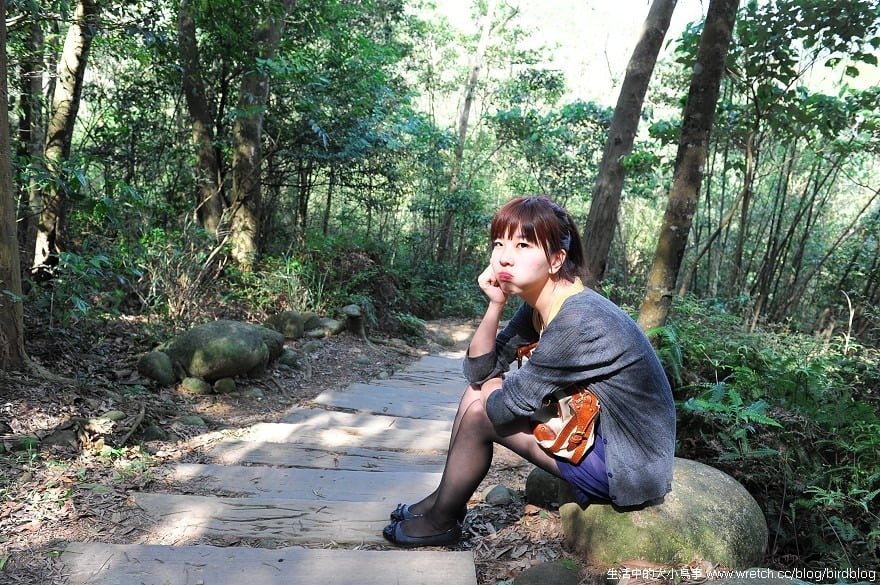 1379027113 3205982677 苗栗-綠葉方舟森林浴+三義木頭香【鳥夫人】