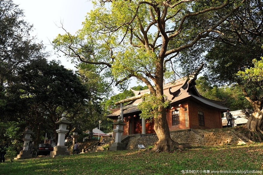 1379027181 770281986 苗栗-綠葉方舟森林浴+三義木頭香【鳥夫人】
