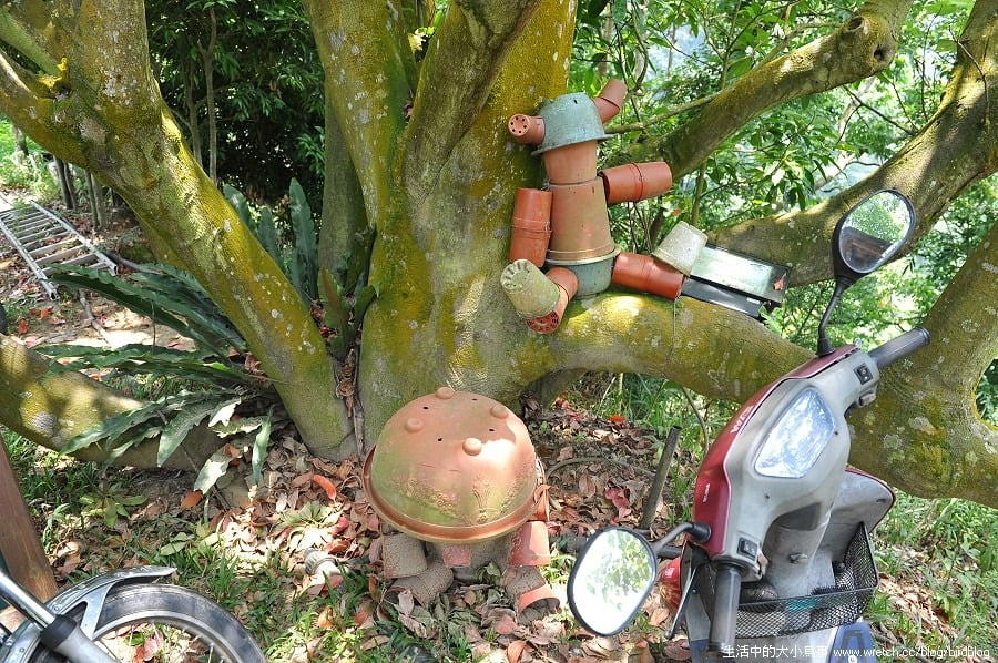 1379026020 388567890 台中也有金針花.沐心泉休閒農場【鳥先生】