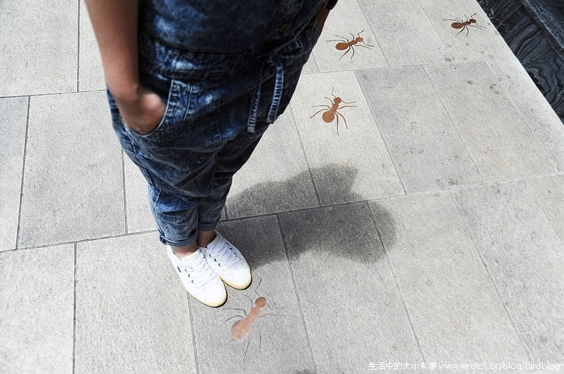 1379026448 1930633751 宮原眼科看醫生去?【鳥夫人】