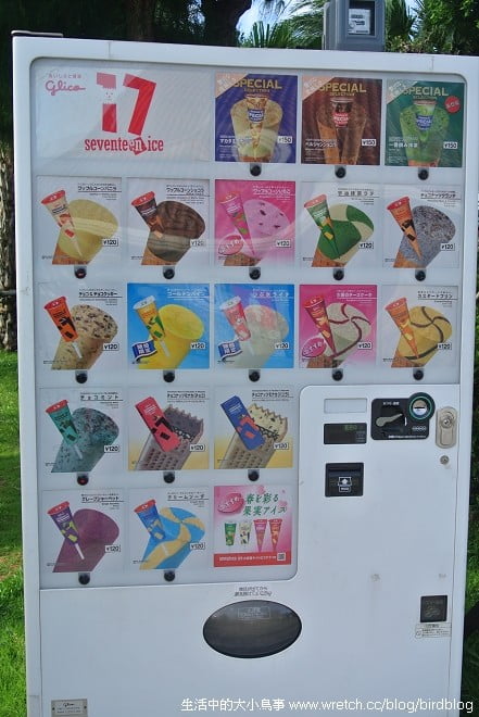 1379024810 2209060969 沖繩Day1-琉球村、落日海灘、比基尼