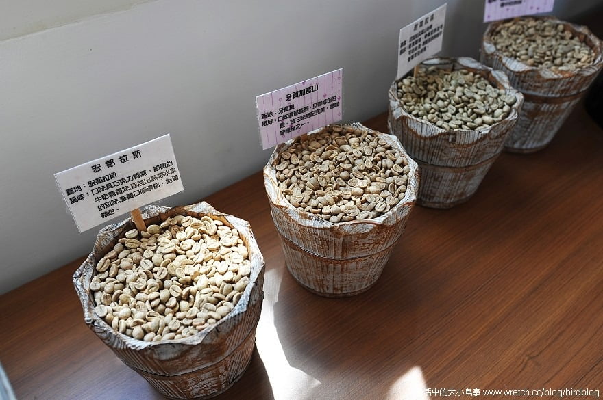 1379023303 115822497 田園中的進昌咖啡館【鳥夫人】