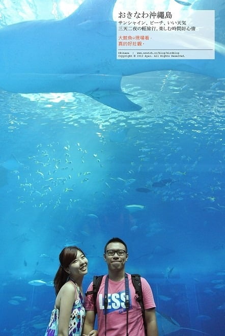 1379024177 3150254247 沖繩Day2-美麗的海洋博公園&美之海生館
