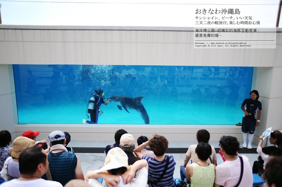 1379024183 1846483594 沖繩Day2-美麗的海洋博公園&美之海生館