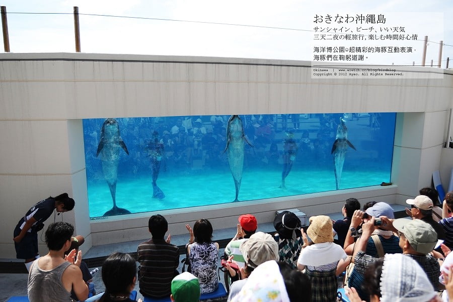 1379024189 3250277826 沖繩Day2-美麗的海洋博公園&美之海生館