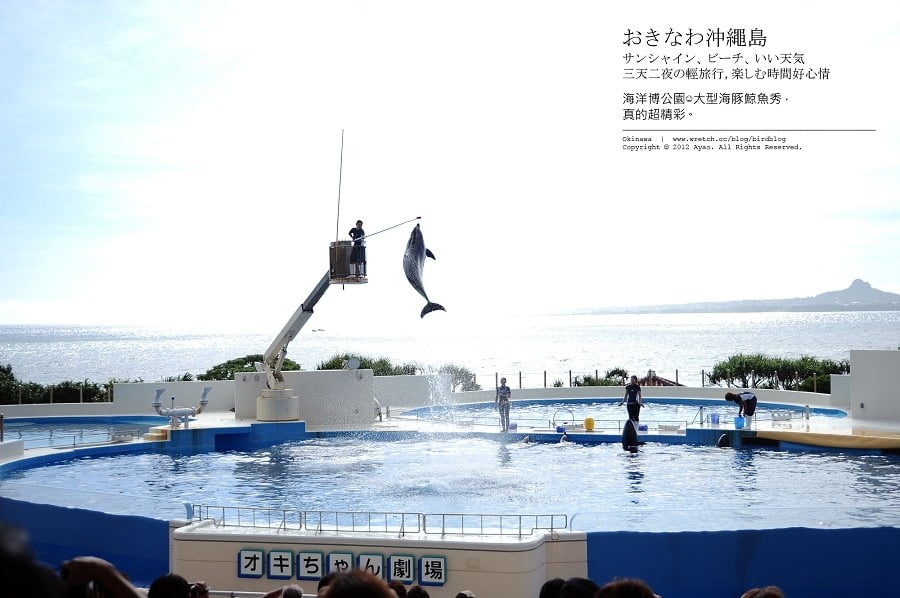 1379024203 3878127957 沖繩Day2-美麗的海洋博公園&美之海生館
